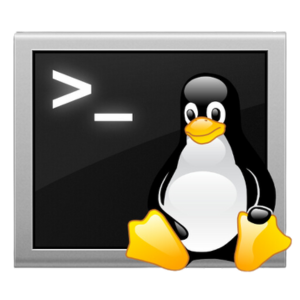 Shell Script